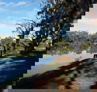Murray River National Park - Katarapko - Accommodation Broome