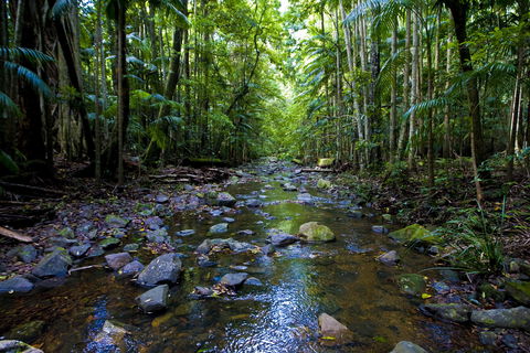 Nambucca Valley - Accommodation Broome 0