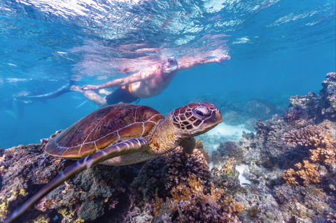Ningaloo Marine Park - Accommodation Broome 0
