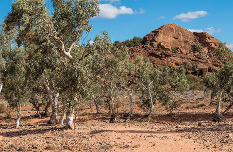 Old Coach Road Drive - Accommodation Broome 0