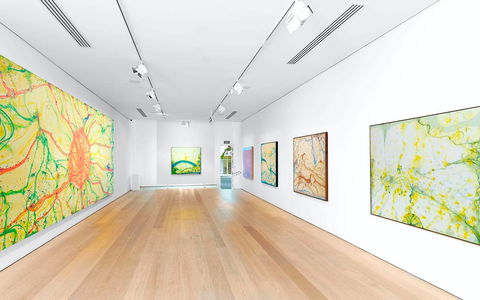 Olsen Gallery - Accommodation Broome 0