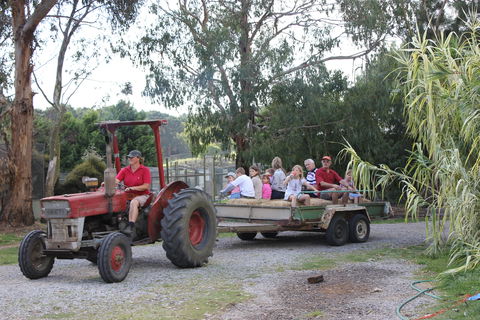 Rain Hayne And Shine Farmyard - Accommodation Broome 1