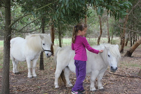 Rain Hayne And Shine Farmyard - Accommodation Broome 2