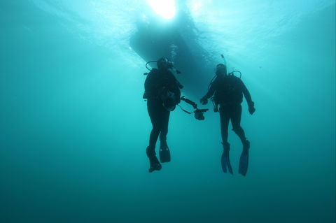 The Arches Marine Sanctuary - Accommodation Broome 0