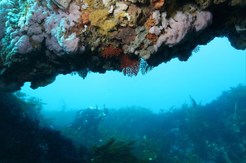 The Arches Marine Sanctuary - Accommodation Broome 2