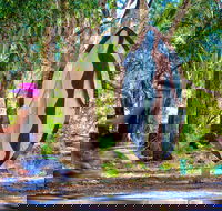 Wagirra Trail and Yindyamarra Sculpture Walk - Accommodation Broome