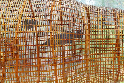 Wagirra Trail And Yindyamarra Sculpture Walk - Accommodation Broome 2
