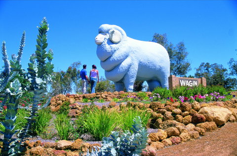 Wagin - Accommodation Broome 0