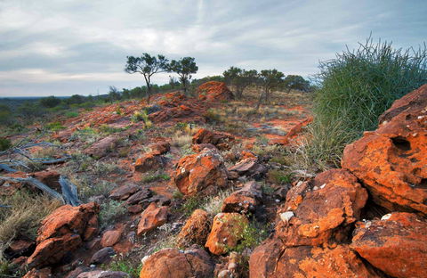 Western Ridge Walk - Accommodation Broome 0