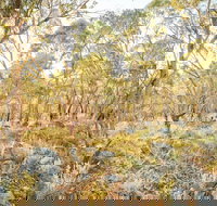 Alpine Views Walk - Accommodation Broome