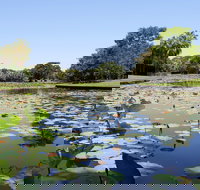 Anderson Park Botanic Gardens - Accommodation Broome