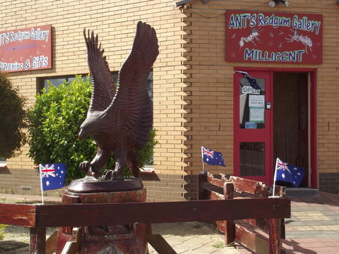 Ant's Redgum Gallery - Accommodation Broome 0