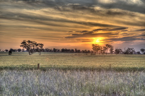 Ardlethan - Accommodation Broome 2