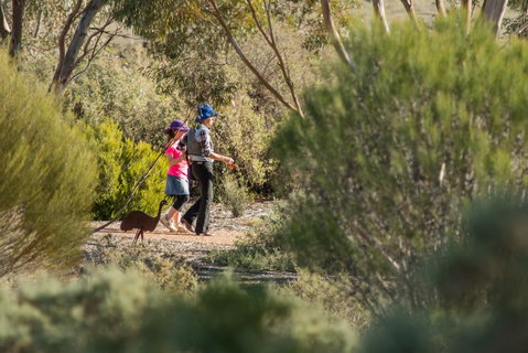 Australian Arid Lands Botanic Garden - Accommodation Broome 0