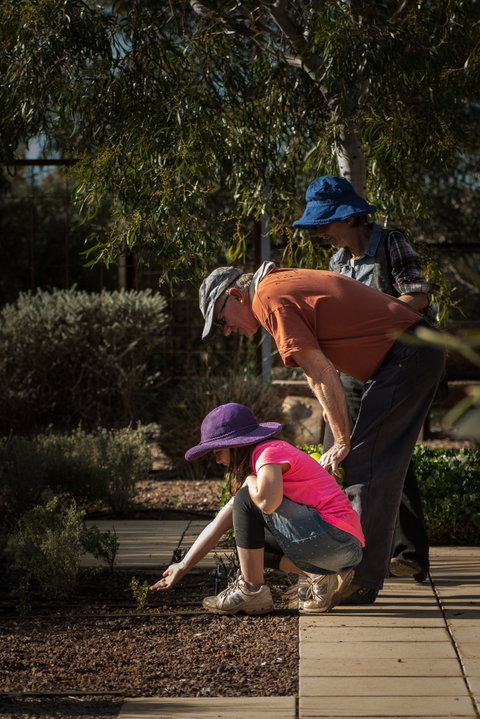 Australian Arid Lands Botanic Garden - Accommodation Broome 1