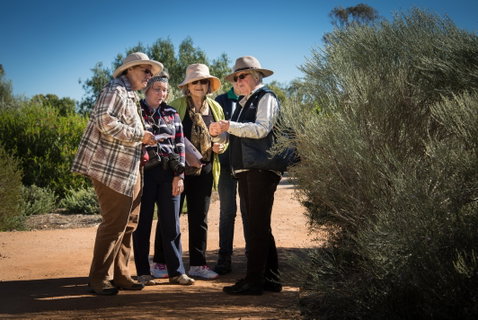Australian Arid Lands Botanic Garden - Accommodation Broome 2