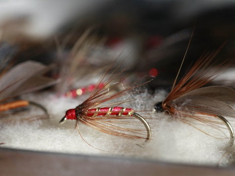 Australian Fly Fishing Museum - Accommodation Broome 0