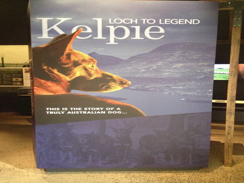 Australian Kelpie Centre - Accommodation Broome 1