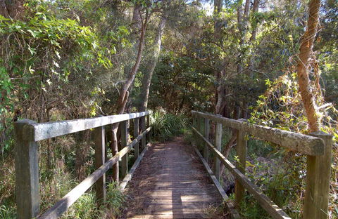 Awaba Bay Foreshore Walk - Accommodation Broome 0