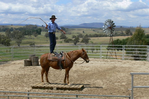 Boggy Creek Show - Accommodation Broome 0