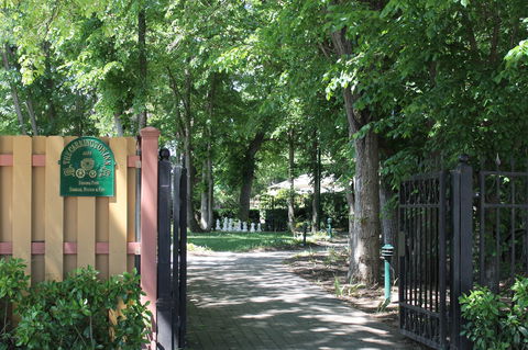 Bungendore Heritage Walk - Accommodation Broome 0