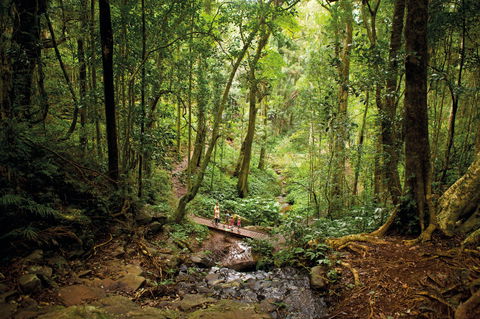 Bunya Mountains National Park - Accommodation Broome 1