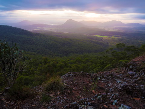 Cunninghams Gap And Spicers Gap, Main Range National Park - Accommodation Broome 0