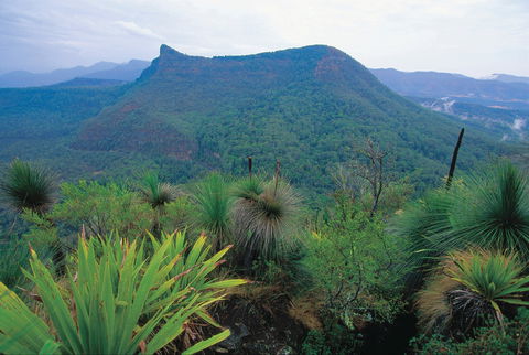 Cunninghams Gap And Spicers Gap, Main Range National Park - Accommodation Broome 1