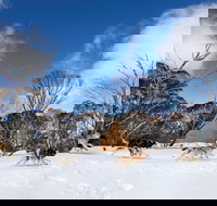 Dinner Plain - Accommodation Broome