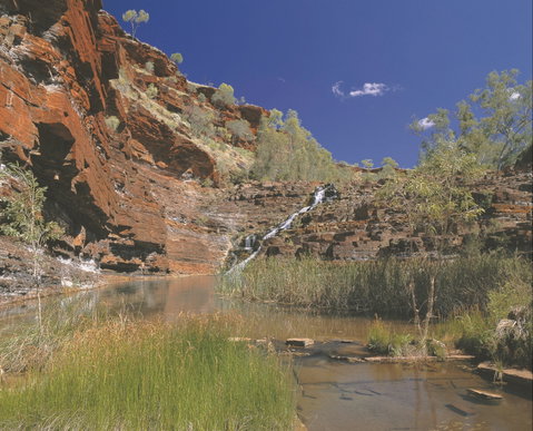 Fortescue Falls - Accommodation Broome 1