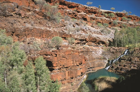 Fortescue Falls - Accommodation Broome 2