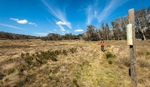 Goldseekers Track - Accommodation Broome 0