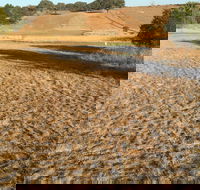 Gunning Golf Club - Accommodation Broome