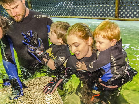 Irukandji Shark And Ray Encounters - Accommodation Broome 1