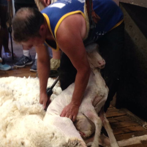 Kuriong Sheep Station - Accommodation Broome 2
