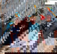 Maleny Botanic Gardens and Bird World - Accommodation Broome