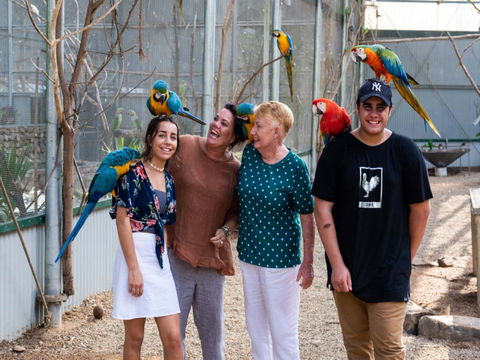 Maleny Botanic Gardens And Bird World - Accommodation Broome 0