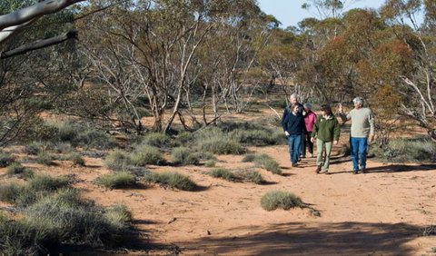 Mallee Stop Walking Track - Accommodation Broome 0