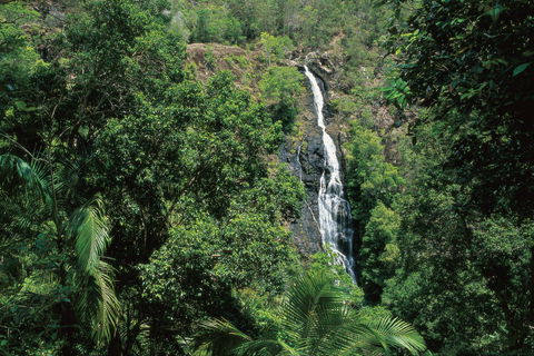 Mapleton Falls National Park - Accommodation Broome 0