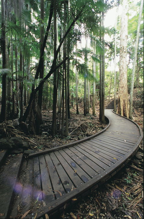 Mapleton Falls National Park - Accommodation Broome 1