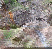 Mill-bullah Walking Track - Accommodation Broome