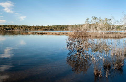 Pattimores Lagoon - Accommodation Broome 0
