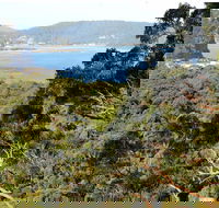Patonga to Pearl Beach Walking Track - Accommodation Broome