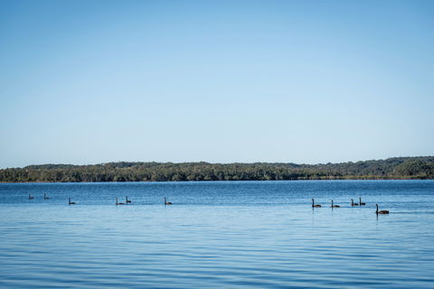 Queens Lake Picnic Area - Accommodation Broome 1