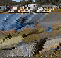 Sculpture Trail at Lake Crackenback Resort and Spa - Accommodation Broome