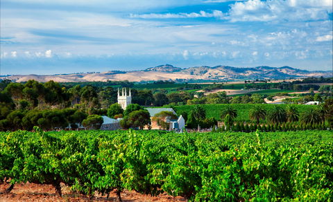 Seppeltsfield Road Barossa Valley - Accommodation Broome 1