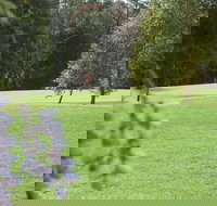 Springwood Country Club - Accommodation Broome