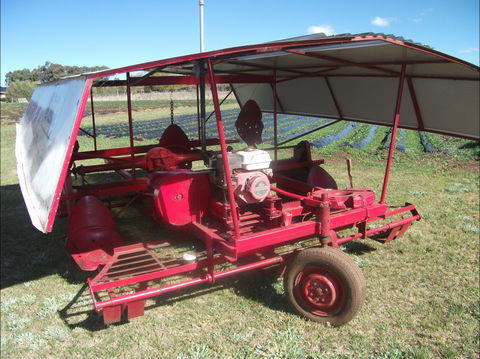 The Super Strawberry - Accommodation Broome 2