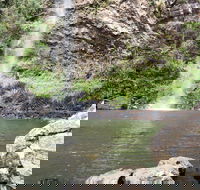Twin Falls Circuit Springbrook National Park - Accommodation Broome