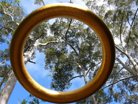 Walpole Wilderness Discovery Centre - Accommodation Broome 2